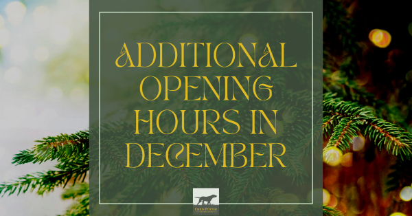 Extra Opening Hours for Christmas Shopping!