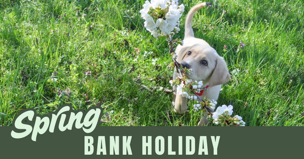 Spring Bank Holiday