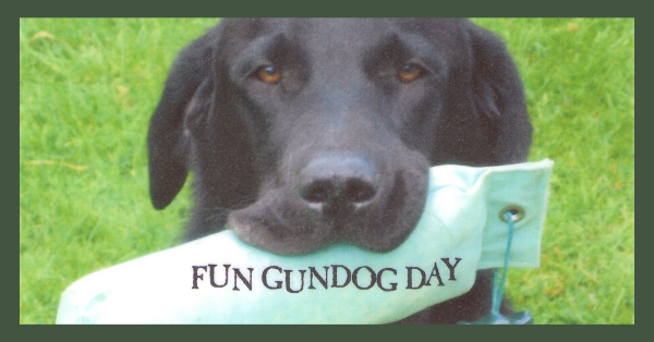 Fun Gundog Day